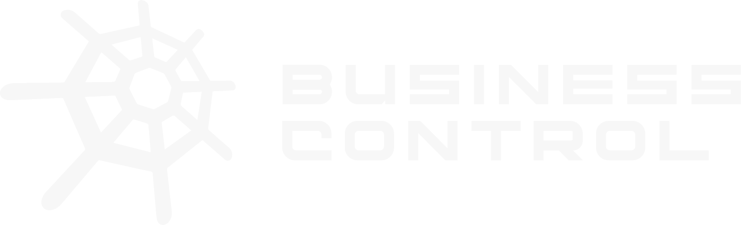 Business Control Marketing